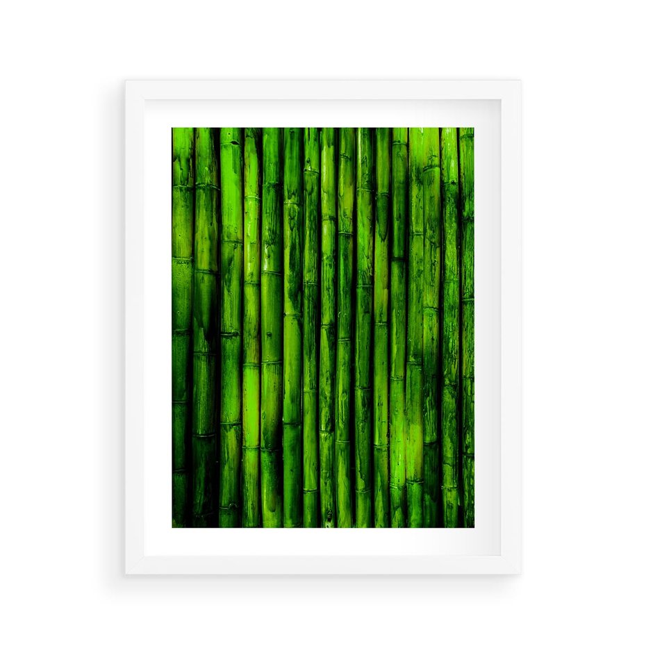 Plakat w ramie 40x50 - Bambusowy urok zielonej harmonii - bambus, zieleń - rama biała