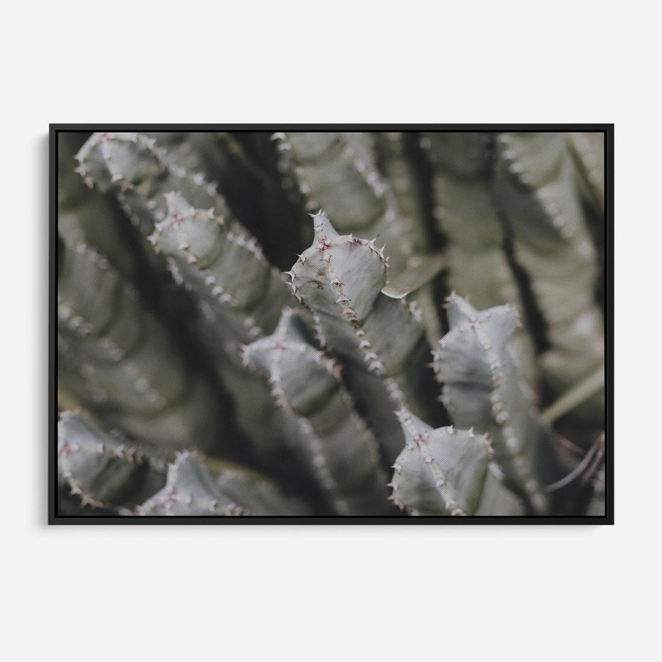 Obraz w ramie 100x70 - Boho kaktusy na pustyni - kaktusy, pustynia - rama czarna