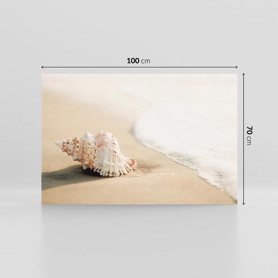 Obraz na płótnie 100x70 - Urok plażowej muszelki - fotografia, muszla na plaży
