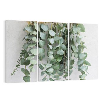 Obraz na płótnie 120x80 - Uwodzicielska zieleń eukaliptusa - eukaliptus, zielone