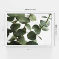 Obraz w ramie 120x80 - Zielone eukaliptusy - eukaliptus, liście - rama biała
