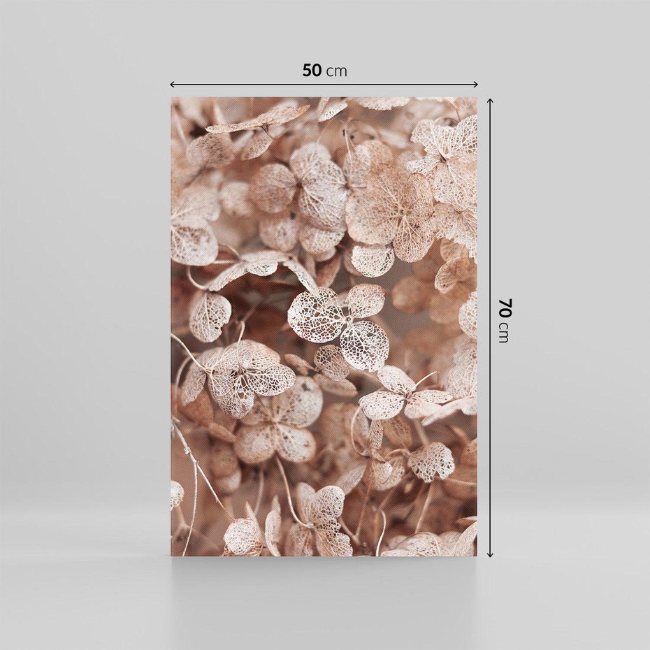 Obraz na płótnie 50x70 - Przemijająca Piękność - fotografia, zbliżenie