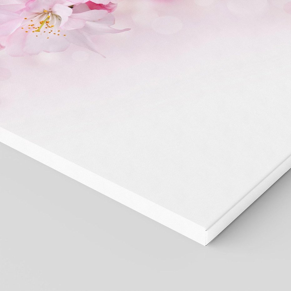 Obraz na płótnie 30x30 - Kwitnąca Wiśnia - kwiaty, kwitnącej