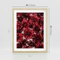 Plakat w ramie 40x50 - Energia Kwiatów - czerwone kwiaty, kompozycja - rama drewno