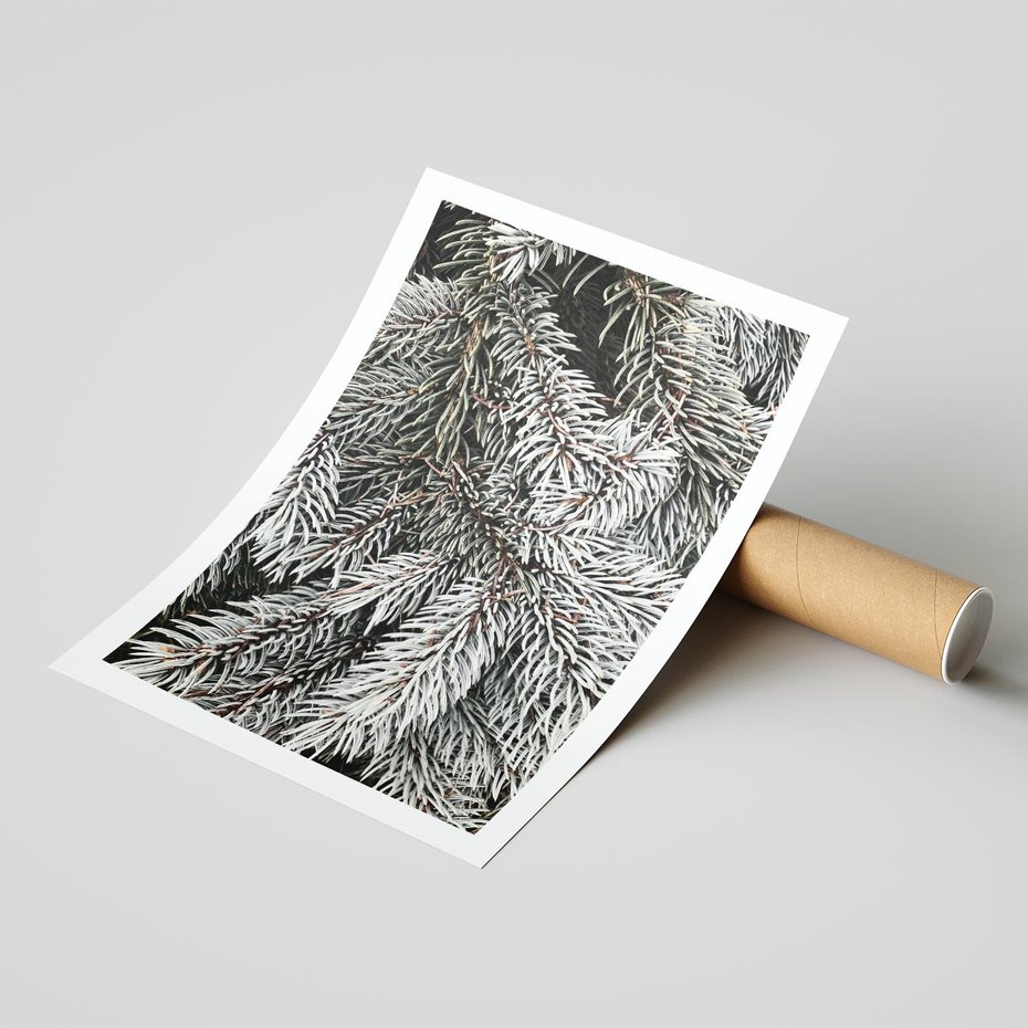Plakat bez ramy 50x70 - Cisza Zimowej Natury - zima, iglaste gałązki