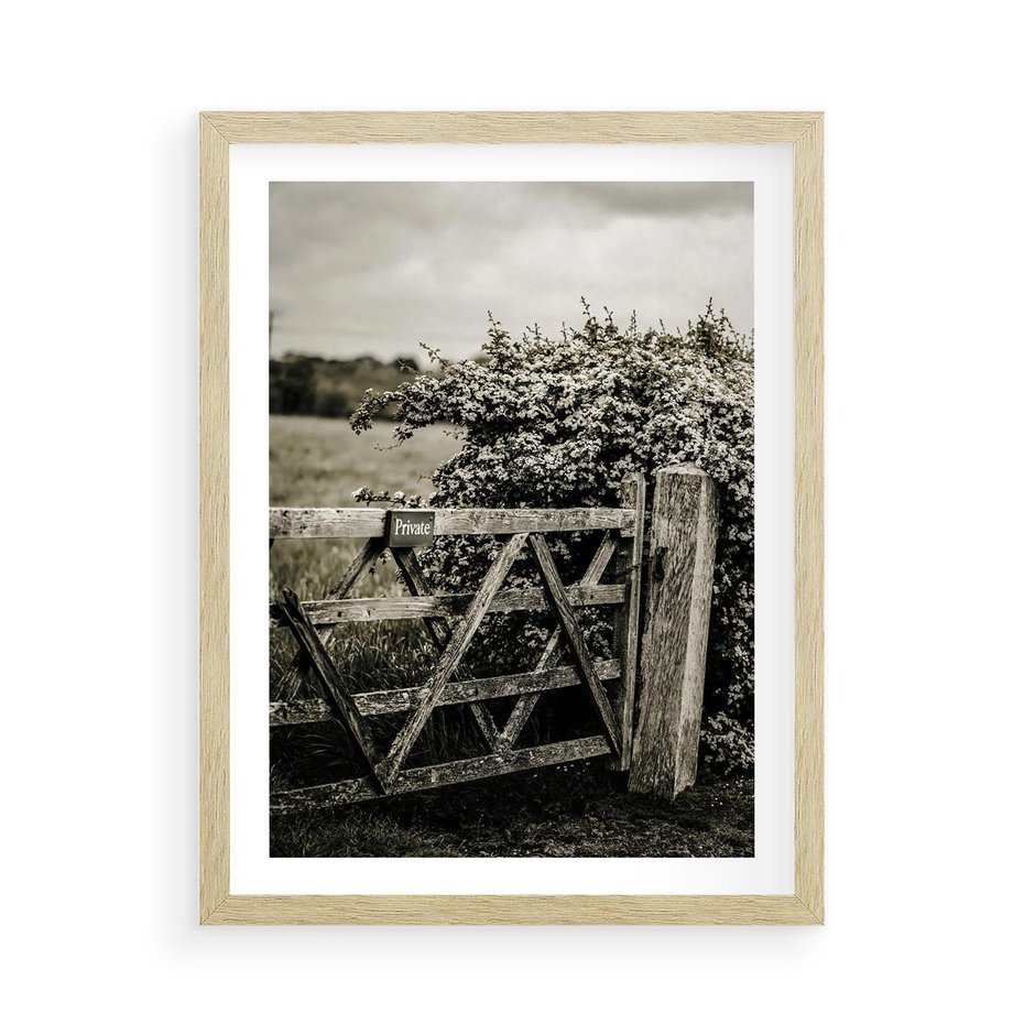 Plakat w ramie 50x70 - Wiejski Urok: Stary Płot i Kwitnący Krzew - rustykalne zdjęcie, stary płot - rama drewno