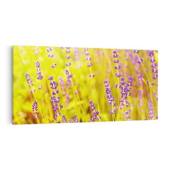 Obraz na płótnie 120x60 - Delikatność natury - lawenda, kwiaty