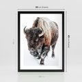 Plakat w ramie 30x40 - Zimowy Władca Puszczy - żubr, bizon - rama czarna