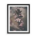 Plakat w ramie 50x70 - Przemijający Urok - kwitnąca, wiśnia - rama czarna