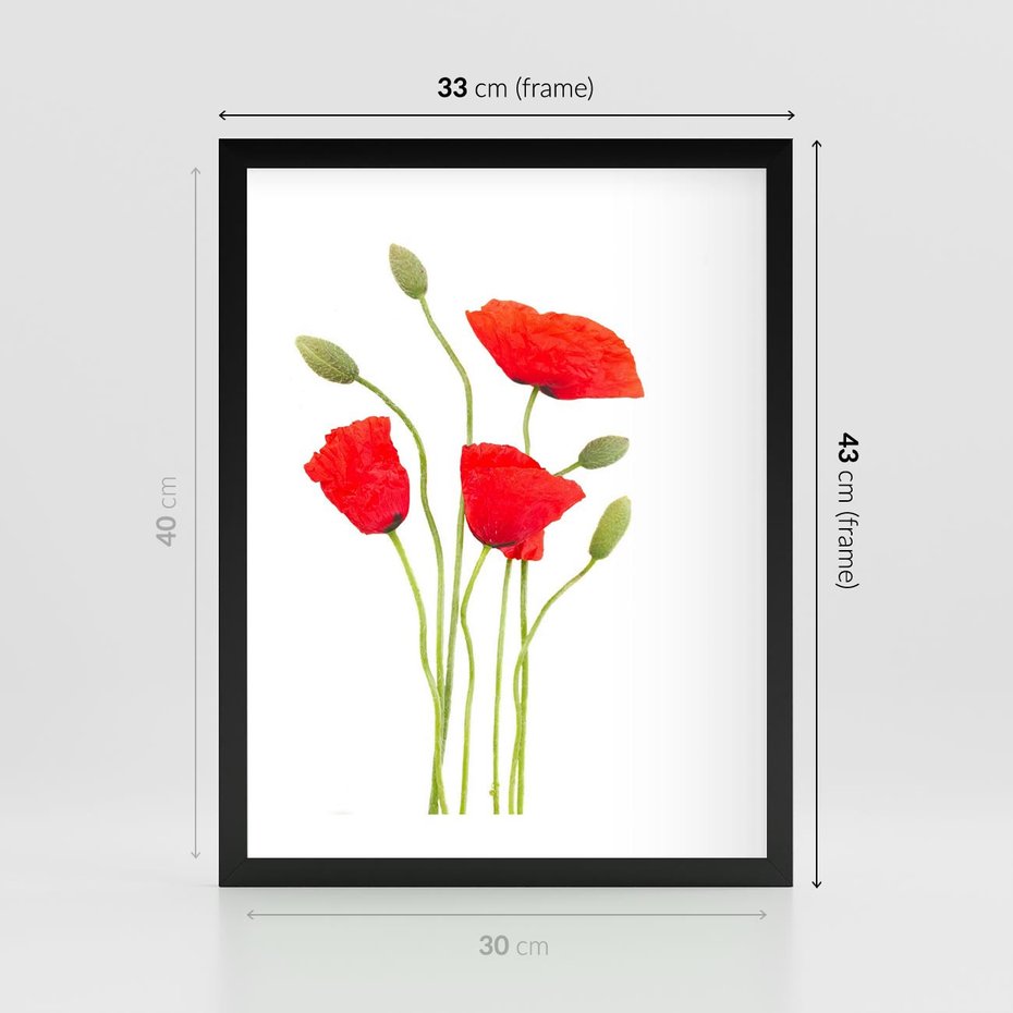 Plakat w ramie 30x40 - Pola maków w pełnym kolorze - maki, kwiaty - rama czarna