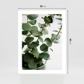 Plakat bez ramy 30x40 - Zielone eukaliptusy - eukaliptus, liście