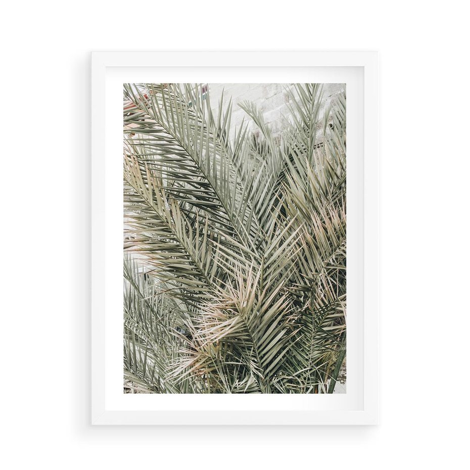 Plakat w ramie 50x70 - Egzotyczny Świat Palm - palmy, liście palmy - rama biała