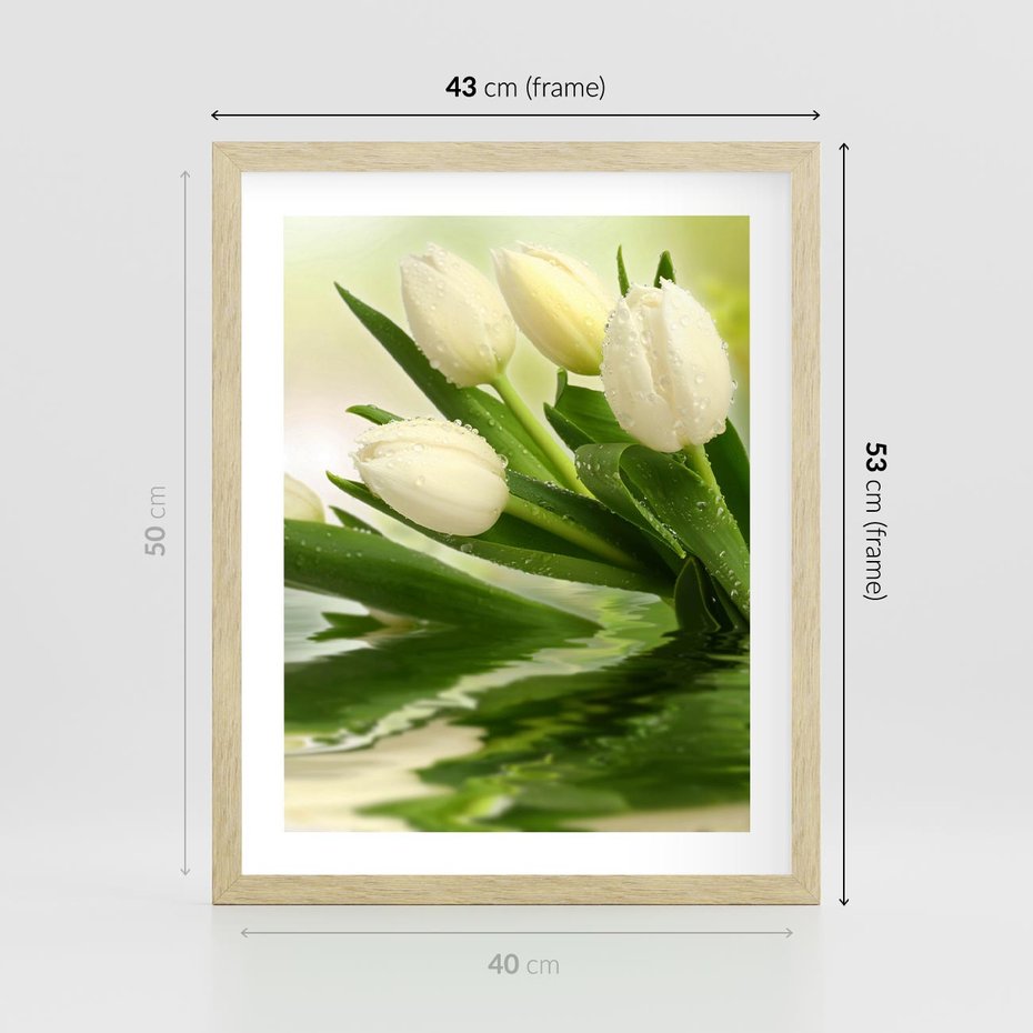 Plakat w ramie 40x50 - Białe Piękno - białe, tulipany - rama drewno