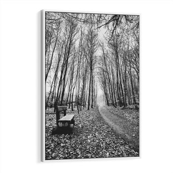 Obraz w ramie 70x100 - Spadające Liście - czarno białe zdjecie, park - rama biała