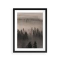 Plakat w ramie 30x40 - Mglista Opowieść Lasu - las, mgła - rama czarna