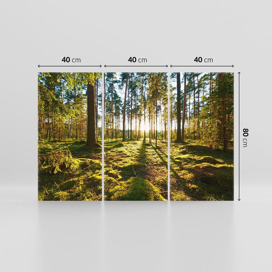 Obraz na płótnie 120x80 - Obfitość natury - las, drzewa