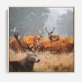 Obraz w ramie 50x50 - Malownicza Harmonia - jelenie, jesień - rama drewno