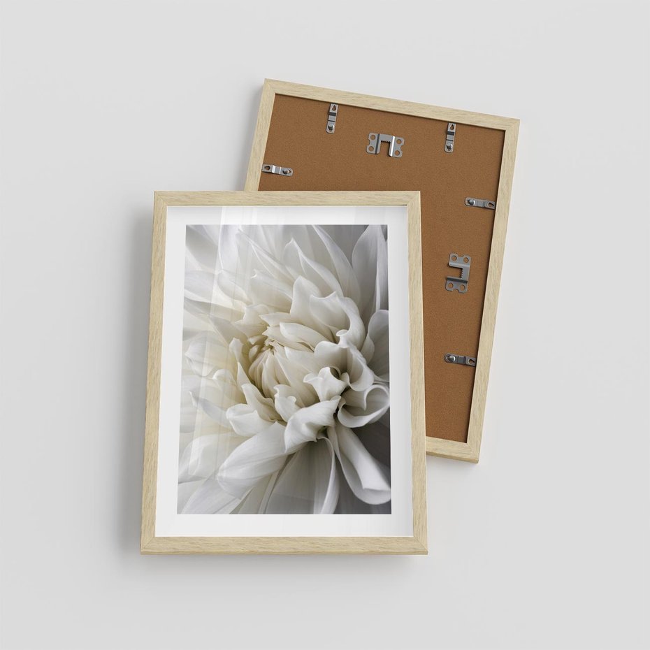 Plakat w ramie 30x40 - Białe Kwiaty Delikatności - białe, kwiaty - rama drewno