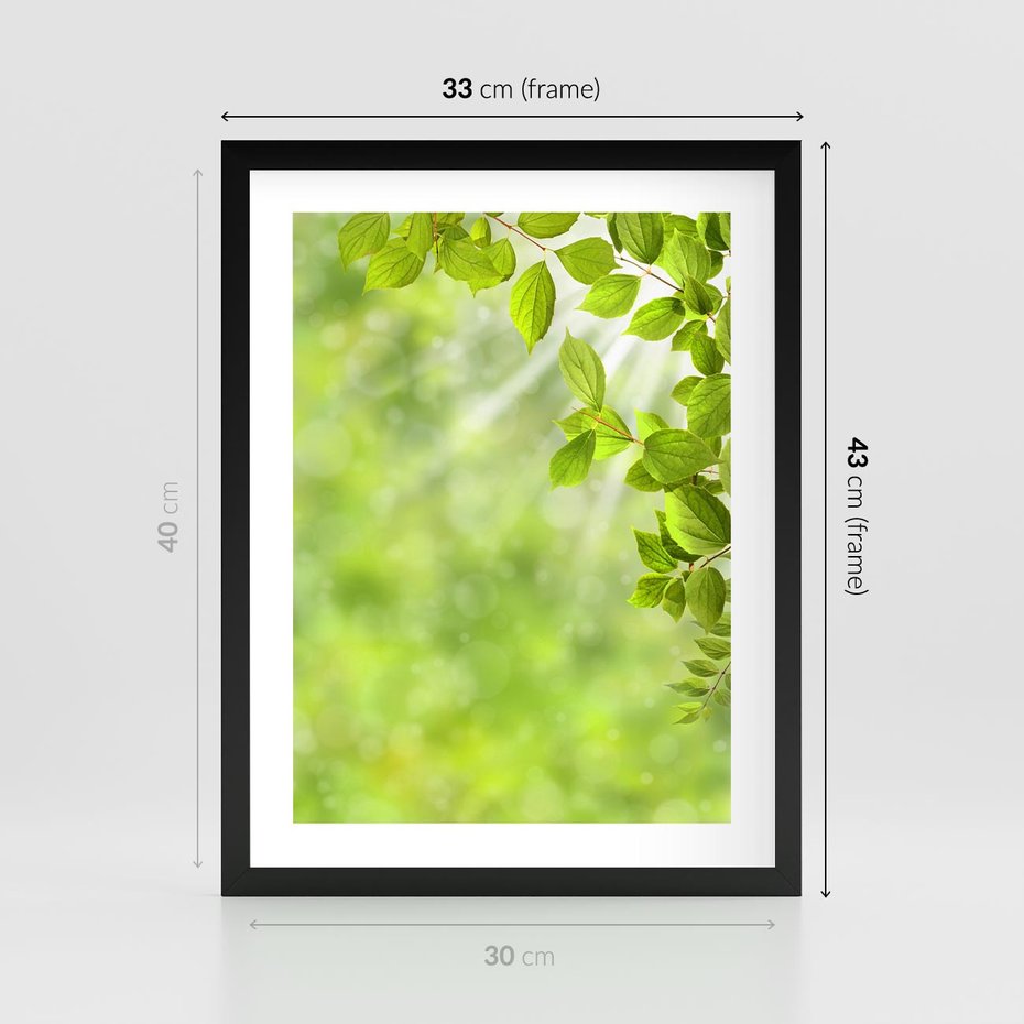 Plakat w ramie 30x40 - Zielone liście natury - liści, zieleń - rama czarna