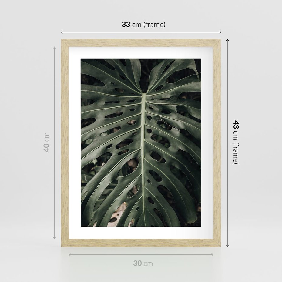 Plakat w ramie 30x40 - Majestatyczny Liść Monstery - liść monstery, majestatyczny liść - rama drewno