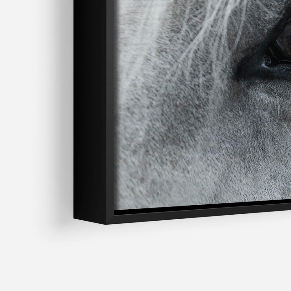 Obraz w ramie 70x50 - Oko Mocy - czarno białe zdjęcie, zbliżenie makro na oko konia - rama czarna