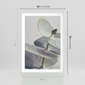 Plakat w ramie 50x70 - Zbliżenie Liści Eukaliptusa - eukaliptus, zbliżenie - rama biała