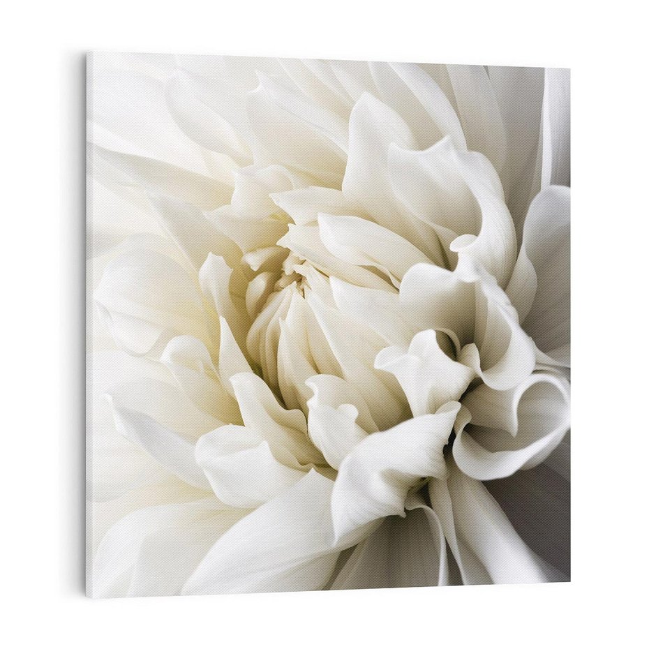 Obraz na płótnie 70x70 - Białe Kwiaty Delikatności - białe, kwiaty
