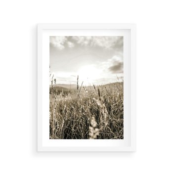 Plakat w ramie 30x40 - Łąka w Klimacie Sepii - suche trawy, łąka - rama biała