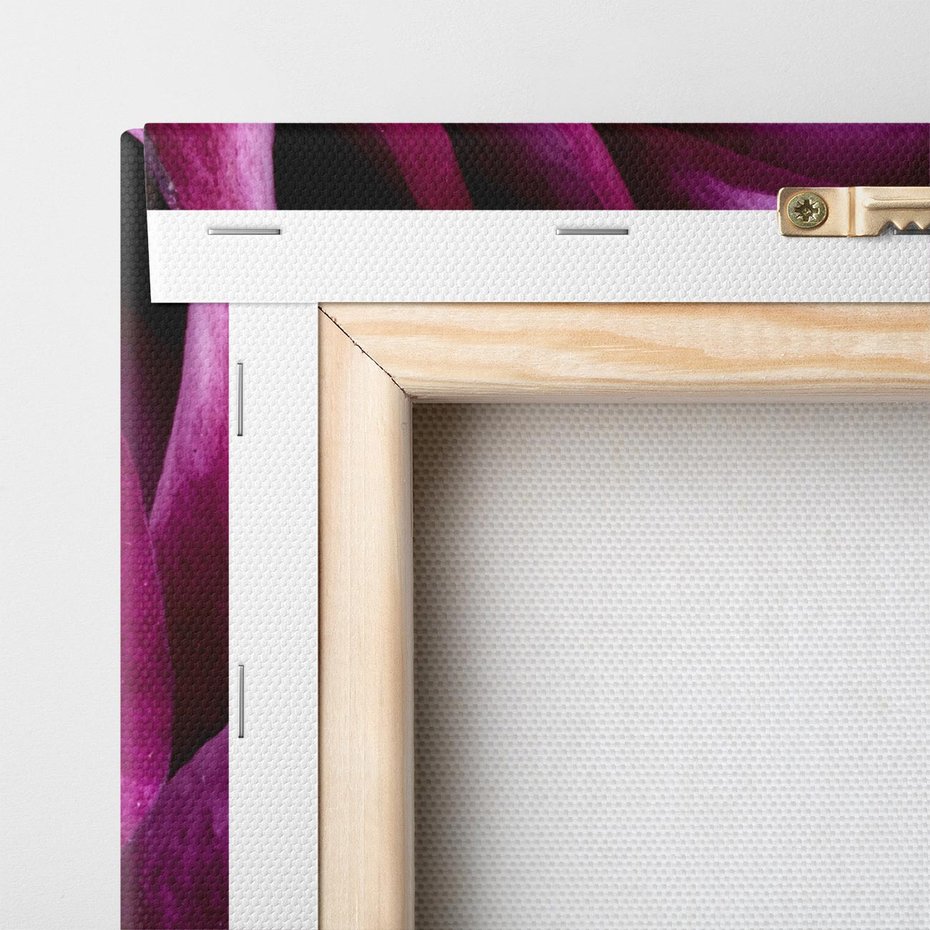 Obraz na płótnie 50x50 - piękno w delikatności - róża, kwiat