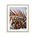 Plakat w ramie 40x50 - Tropikalna Harmonia - palma, liście palmy - rama drewno