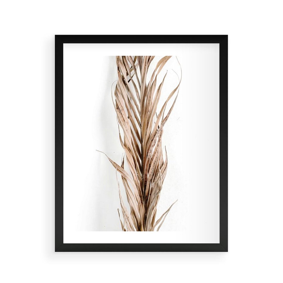 Plakat w ramie 40x50 - Minimalizm Palmowy: Sucha Uroda - sucha palma, minimalizm - rama czarna