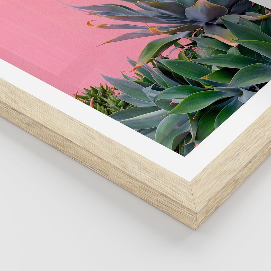 Plakat w ramie 40x50 - Tropikalne Liście na Różowej Ścianie - różowa ściana, tropikalne liście na jej tle - rama drewno