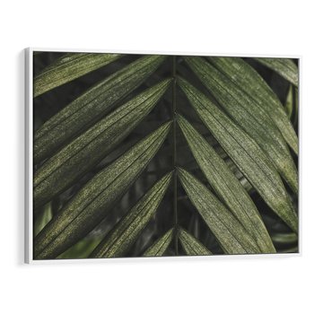 Obraz w ramie 120x80 - W Liściach Ukryte - zdjęcie, fotografia - rama biała