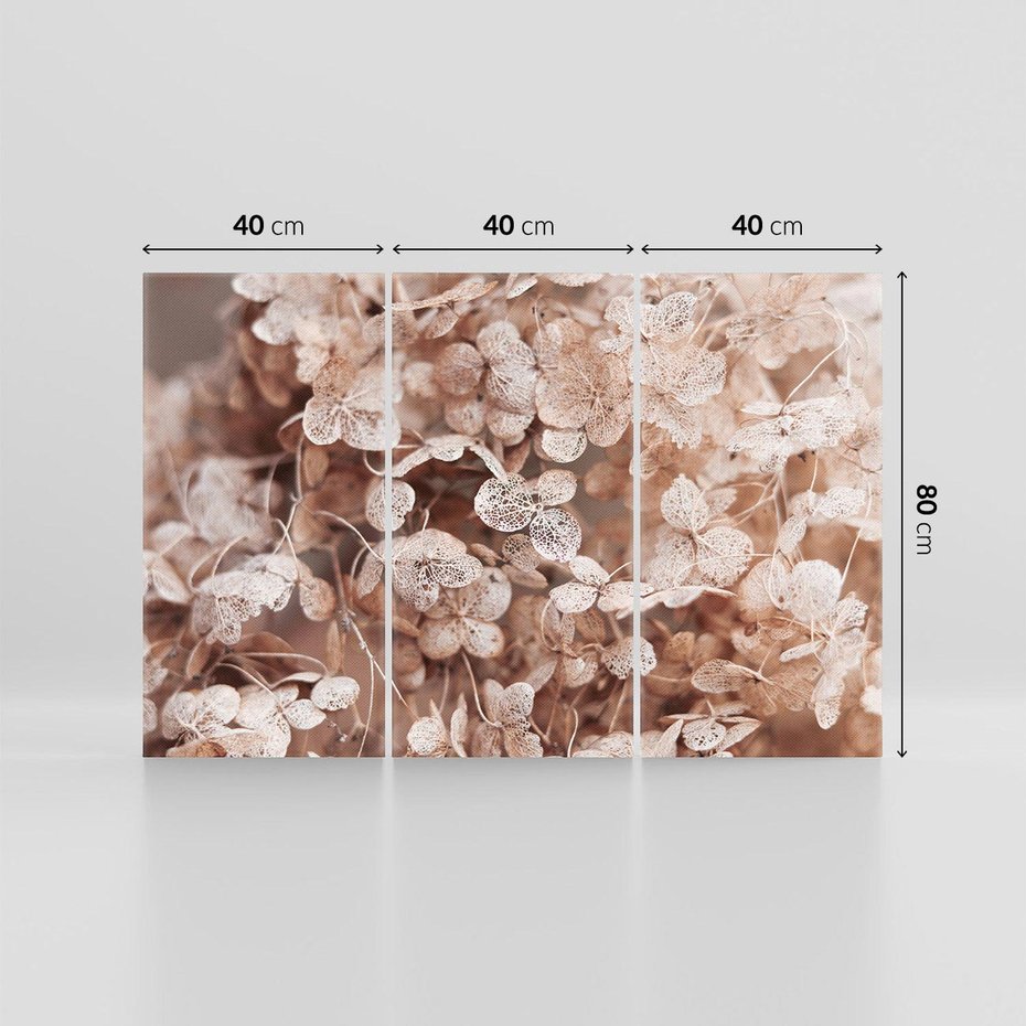 Obraz na płótnie 120x80 - Przemijająca Piękność - fotografia, zbliżenie