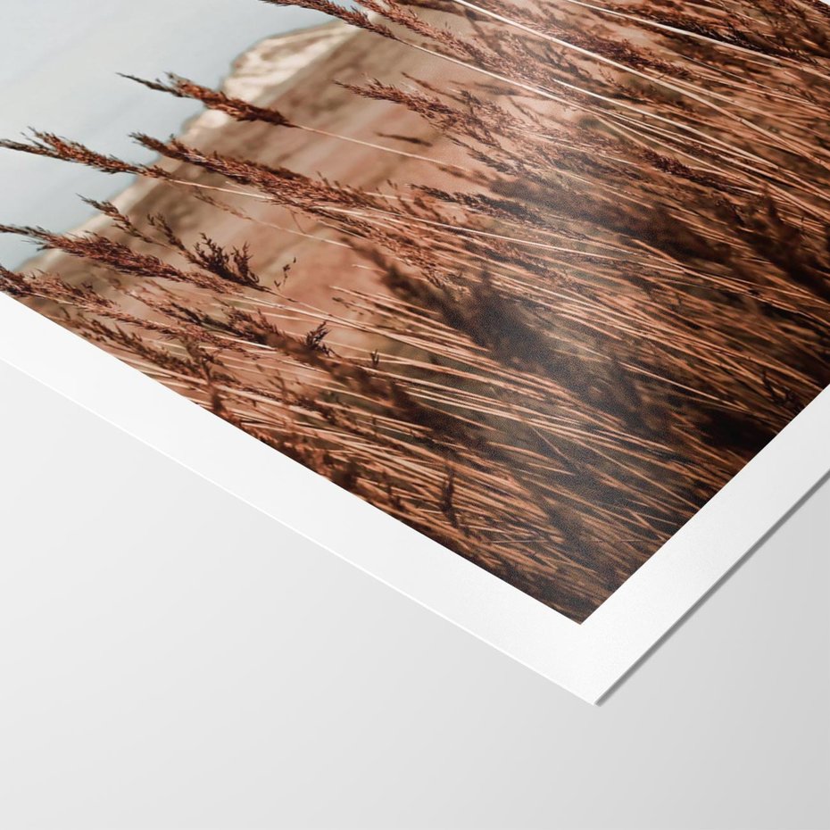 Plakat bez ramy 21x30 - Wysokie Trawy w Górskim Krajobrazie - suche trawy, wysokie trawy