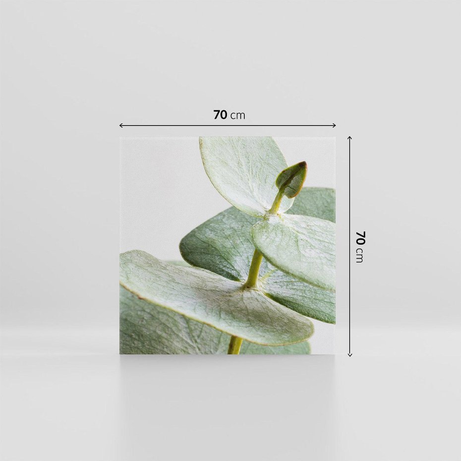 Obraz na płótnie 70x70 - Eukaliptusowa zieleń - eukaliptus, zielone