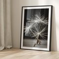 Plakat bez ramy 30x40 - Delikatność dmuchawców zbliżenie - dmuchawce, zbliżenie