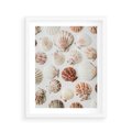 Plakat w ramie 40x50 - Morska Delikatność: Muszelki na Białym Tle - kompozycja, morskie muszelki na białym tle - rama biała