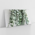 Obraz na płótnie 140x70 - Uwodzicielska zieleń eukaliptusa - eukaliptus, zielone