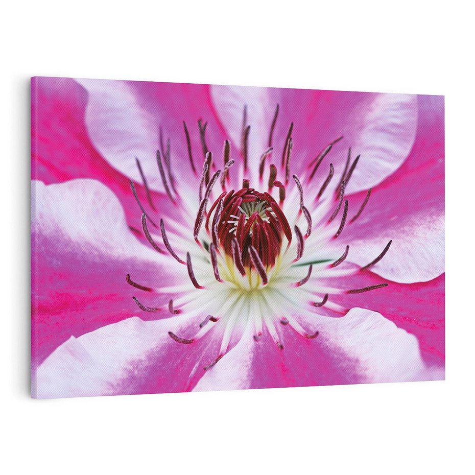 Obraz na płótnie 120x80 - delikatność natur - kwiat, kwiaty