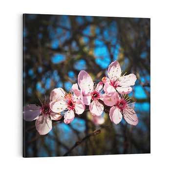 Obraz na płótnie 30x30 - Kwiatowe piękno w pełnym rozkwicie - kwiat, kwiaty