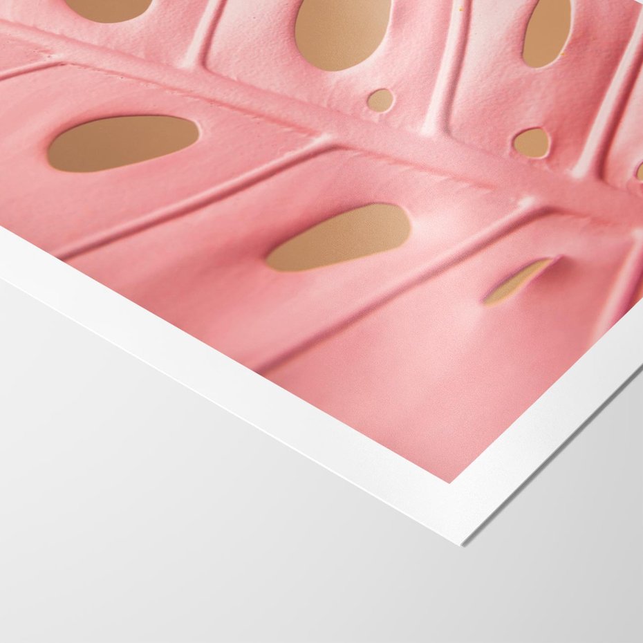 Plakat bez ramy 21x30 - Różowa monstera w pełnym rozkwicie - różowa, monstera