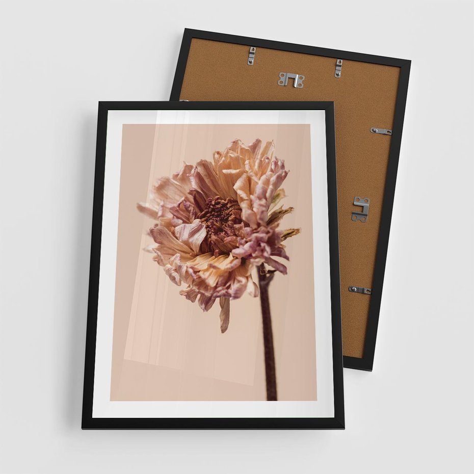 Plakat w ramie 50x70 - Delikatne piękno - suche, kwiaty - rama czarna