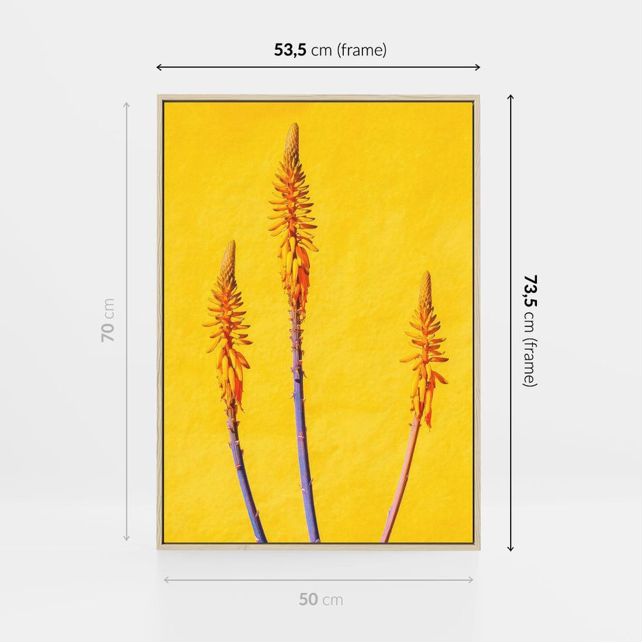 Obraz w ramie 50x70 - Radość Natury - kolor, kwiaty - rama drewno