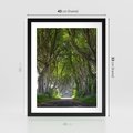 Plakat w ramie 40x50 - Magiczny Las - drzewa, las - rama czarna