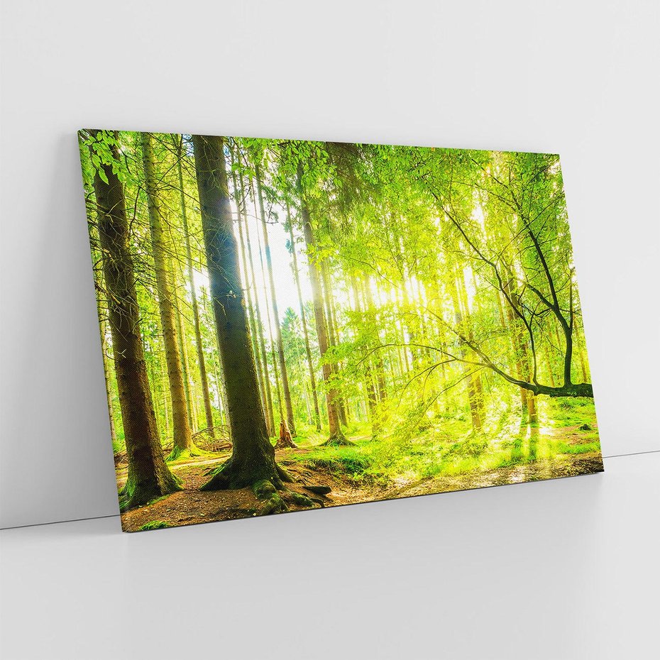 Obraz na płótnie 120x80 - Las w pełnym rozkwicie - las, drzewa