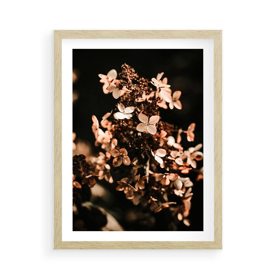 Plakat w ramie 50x70 - Hortensja - Suchy Kwiat w Sztuce - hortensja, suchy kwiat - rama drewno
