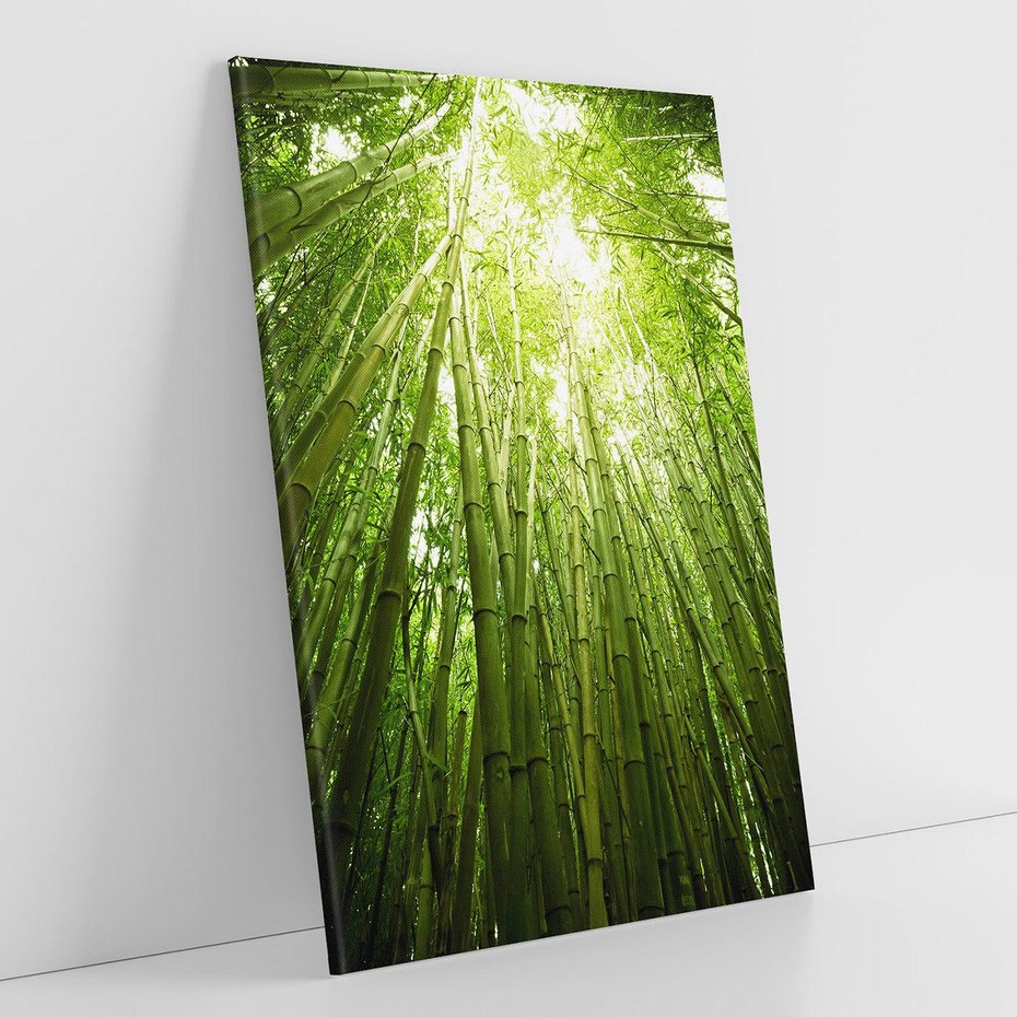 Obraz na płótnie 80x120 - Siła Natury - drzewa, las