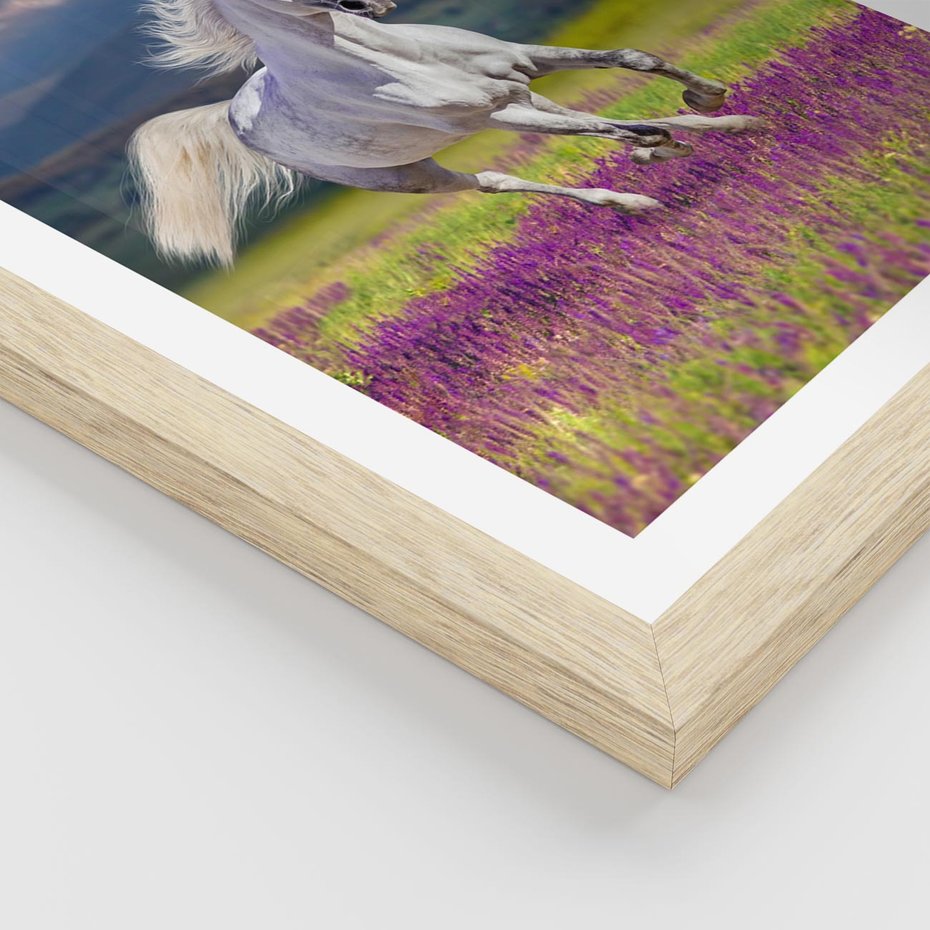 Plakat w ramie 30x40 - Koń Góry: Spotkanie z Wielką Przyrodą - koń, góry - rama drewno