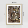 Plakat w ramie 30x40 - Tajemniczy Stróż - sowa, las - rama drewno